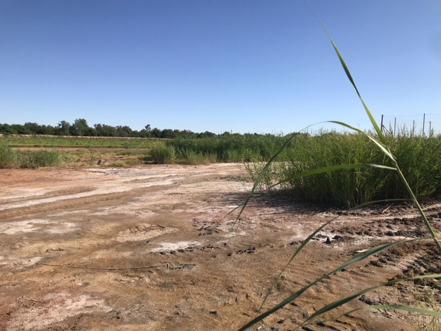 0 Bedroom Property for Sale in Keidebees Northern Cape